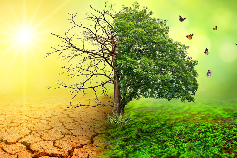 Investing with impact - November 2021